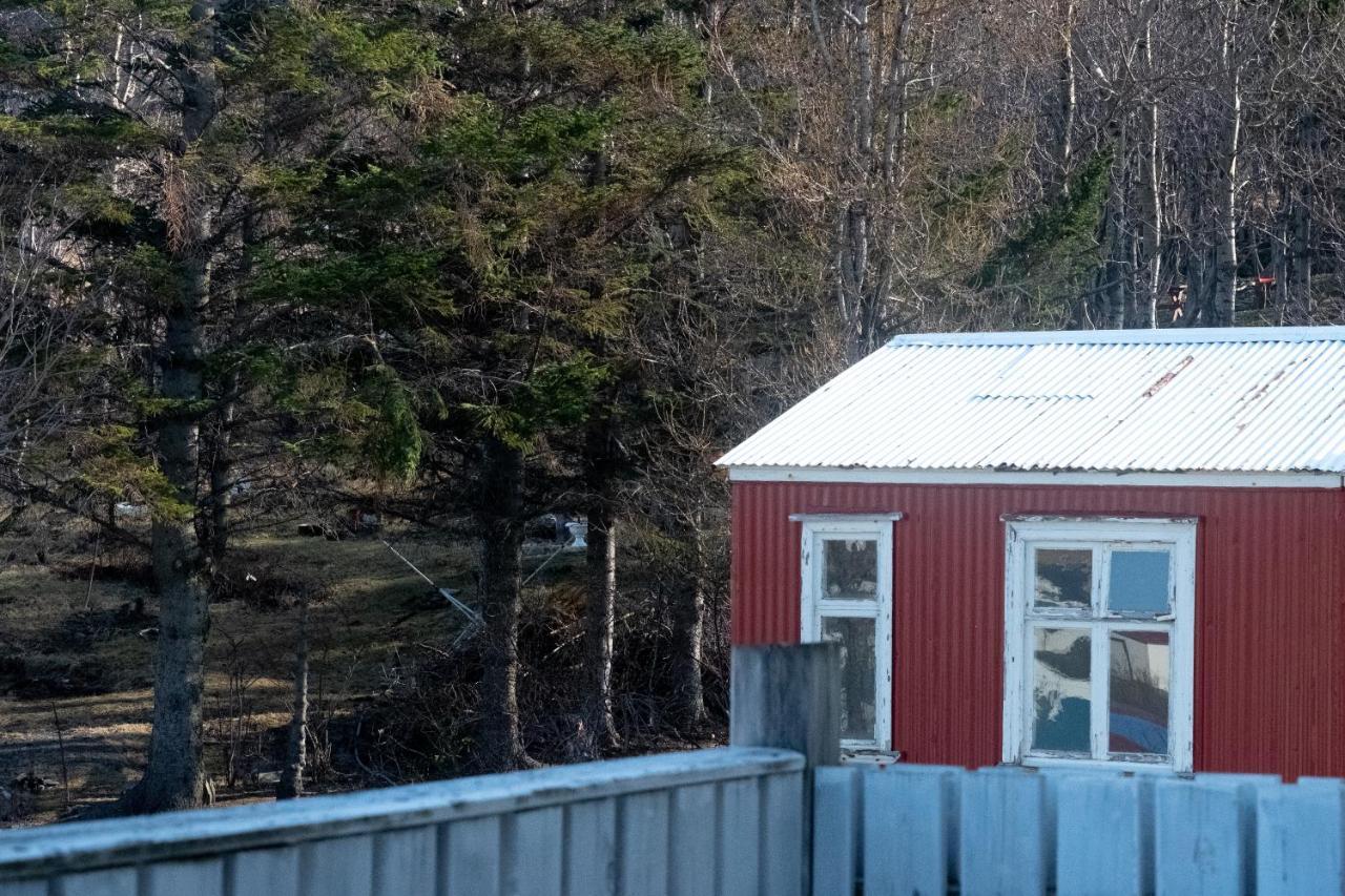 The Guesthouse By The Fjord Thingeyri Eksteriør bilde